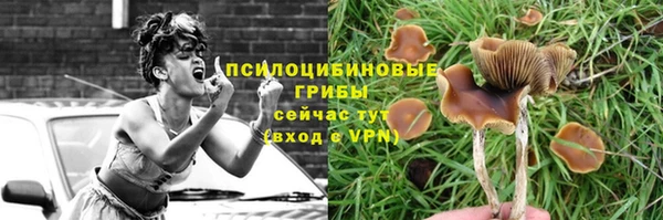эйфоретик Алексин